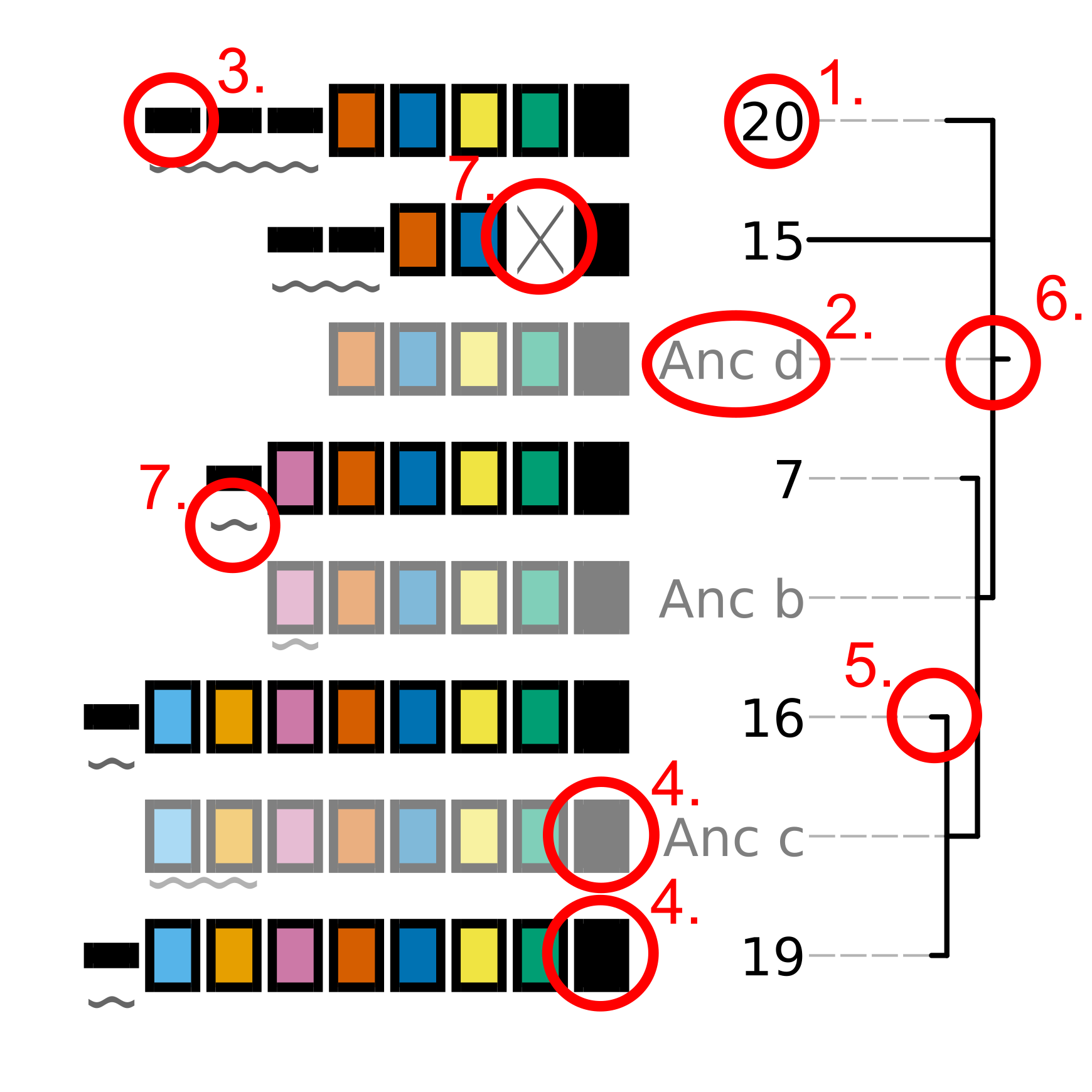 ../_images/CRISPRtree_eg_tree.png