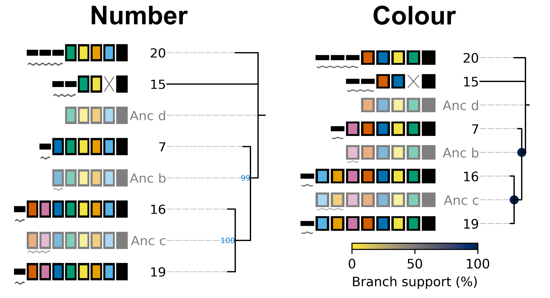 ../_images/treeplot_branch_support_both.png